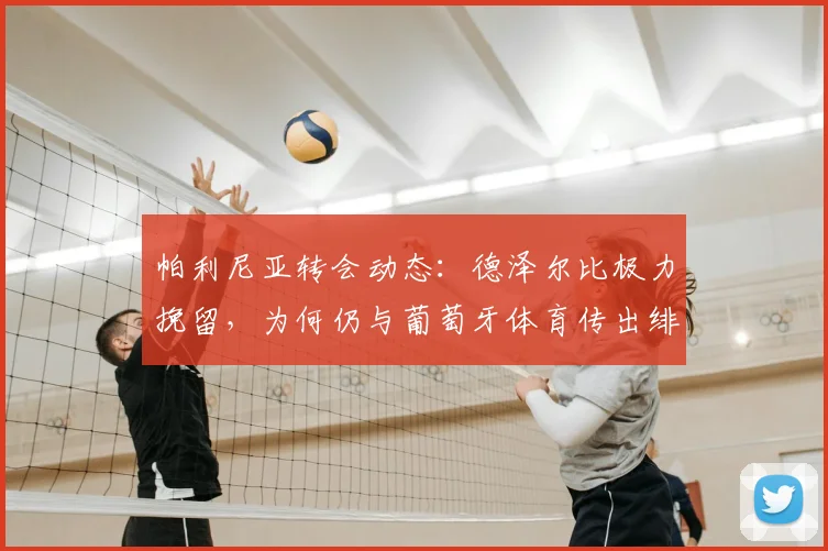 帕利尼亚转会动态：德泽尔比极力挽留，为何仍与葡萄牙体育传出绯闻？